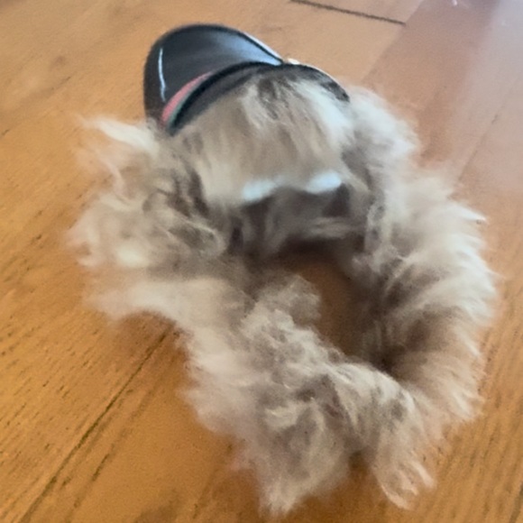 Authentic Gucci Princetown loafers - Picture 7 of 8